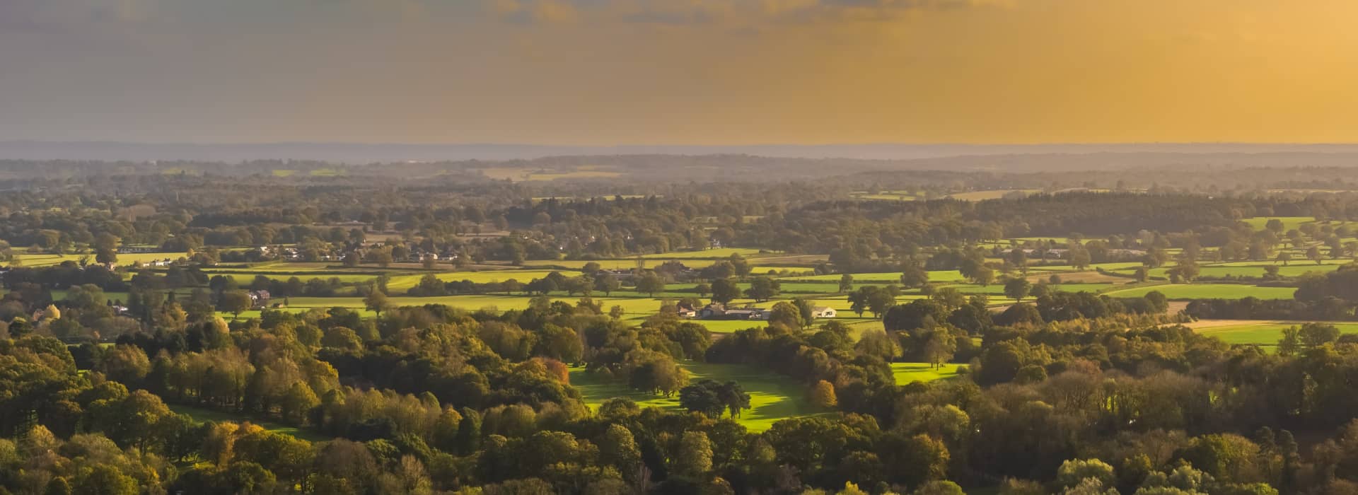 Land and new homes
