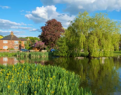 Esher