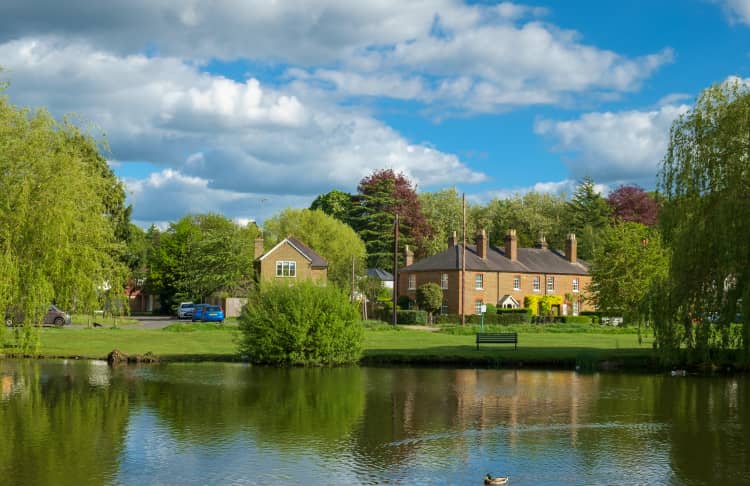estate agents in esher surrey uk_