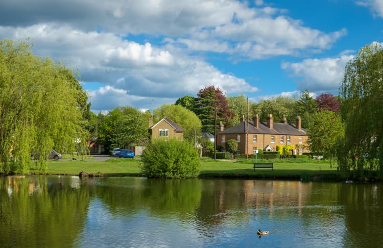 experts in the local lettings market